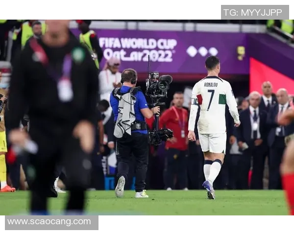 世界杯足球明星的爱情故事与赛场荣耀交织的浪漫旅程