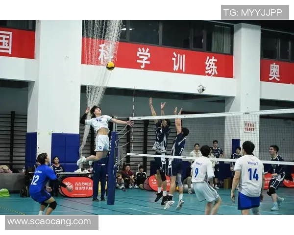 重庆排球队实力强劲荣登全国排球力量排行榜第五名